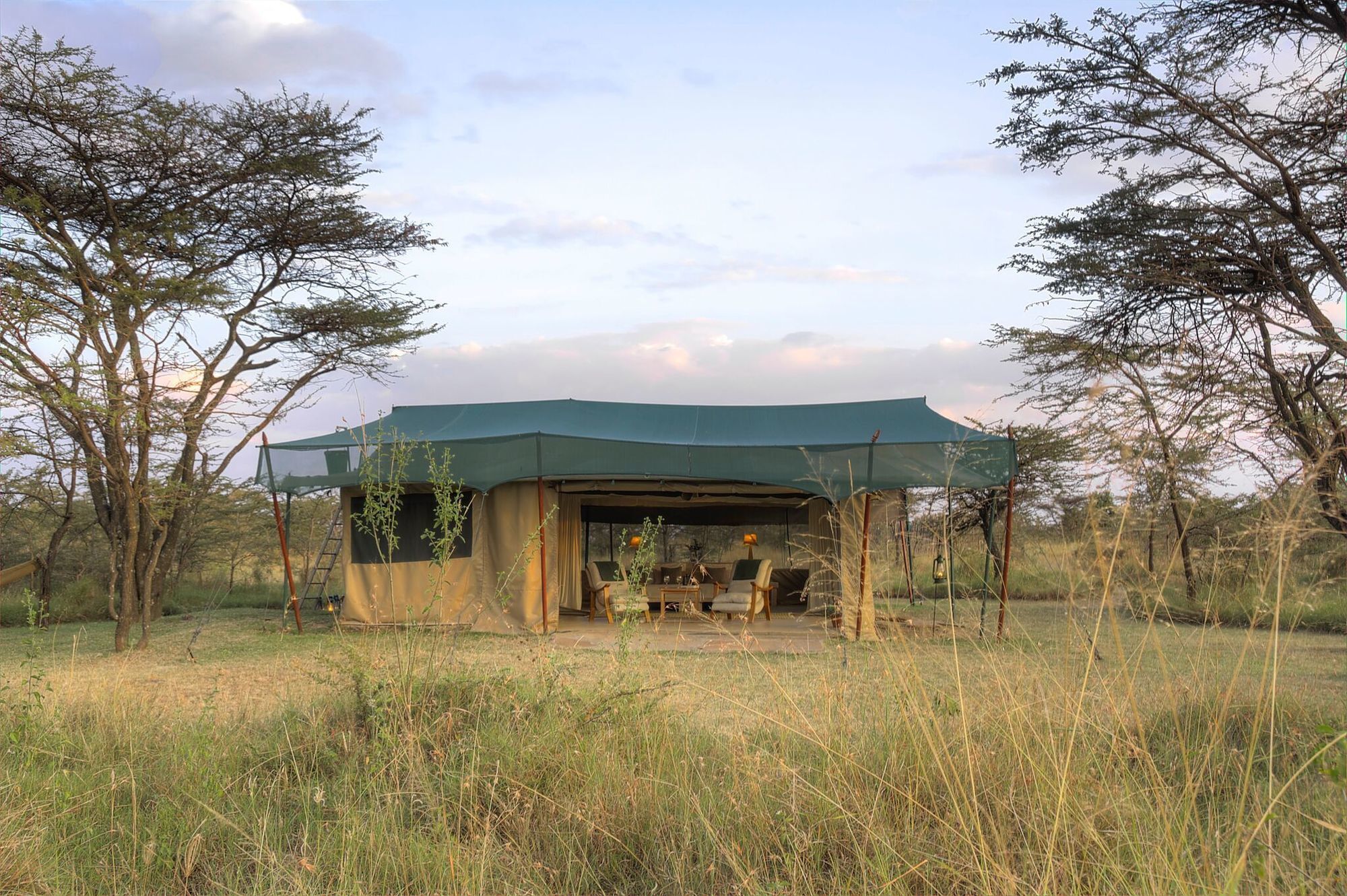 Hotel Kicheche Bush Camp Maasai Mara Exterior foto